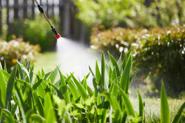 24/7 Emergency Fumigation Services experts in Oakland, PA