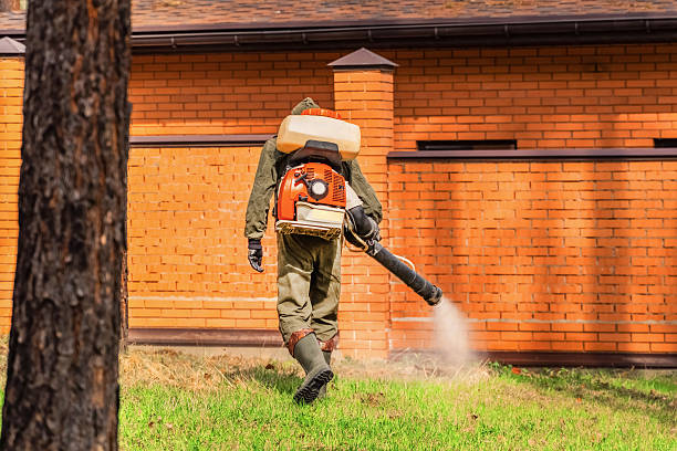 Trusted Bed Bug Control service in Oakland, PA - Nex Pest Control